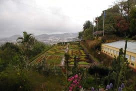 Lanzarote to Madeira lorelei