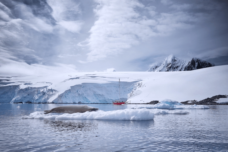 Antarctica-P2043159-scaled 1